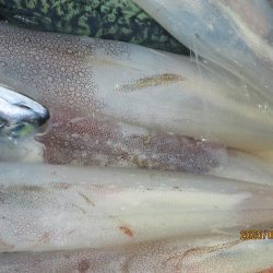 黒ムツ、ヤリイカ　釣れました(^_-)-☆